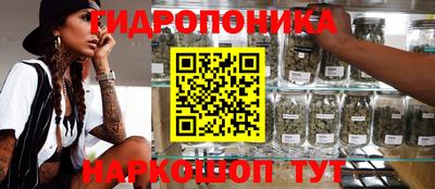 таблы Славгород