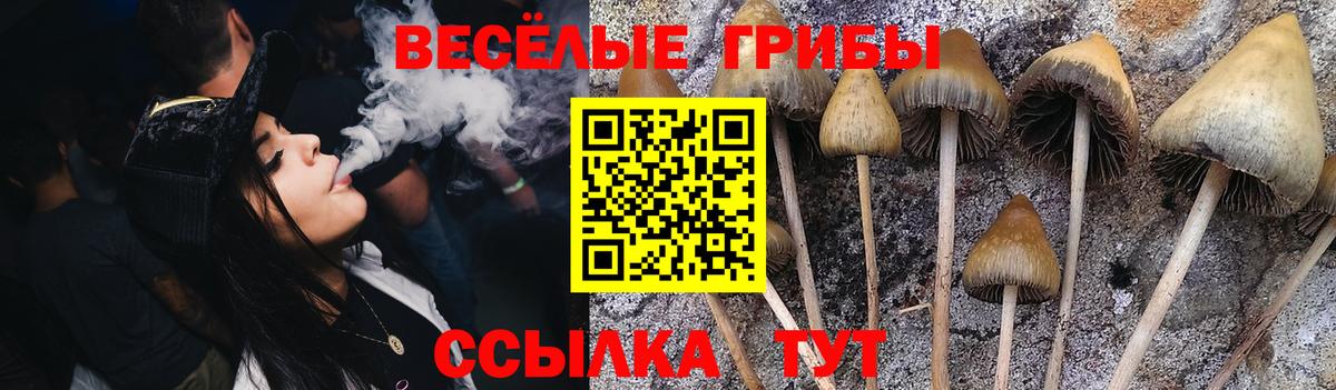 Нижнекамск  Псилоцибиновые грибы мухоморы  Вход с VPN 